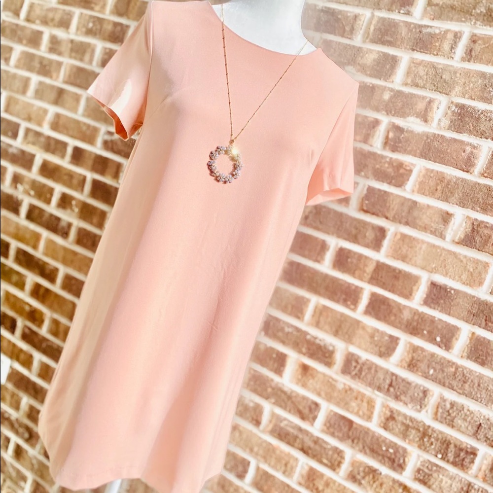 NWT Blush dress